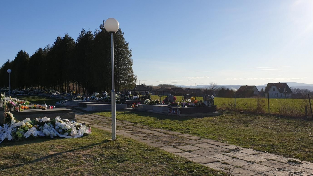 Fotografia fotogalérie Výrub tují na cintoríne